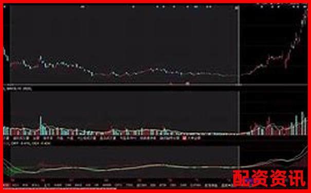 未来暴涨1000倍的股票怎么找？选股逻辑深挖-传艺科技未来的十倍股