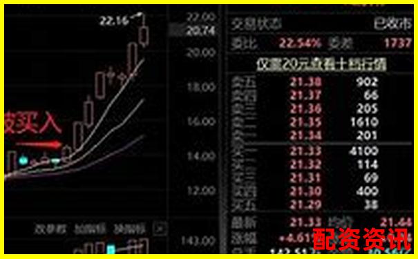 散户如何参与2025年十倍股行情？操作指南来了