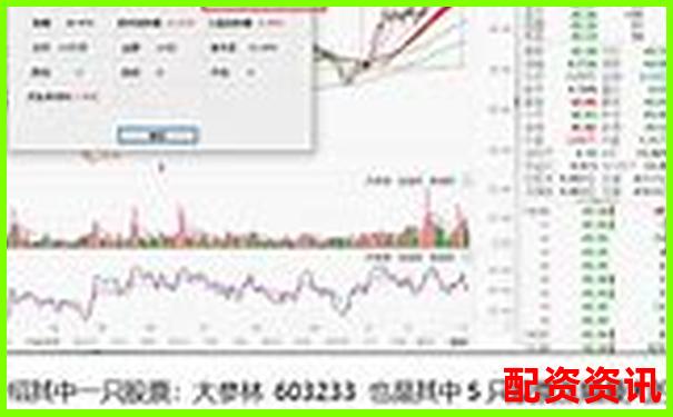 如何组建一支“未来暴涨1000倍股票池”？