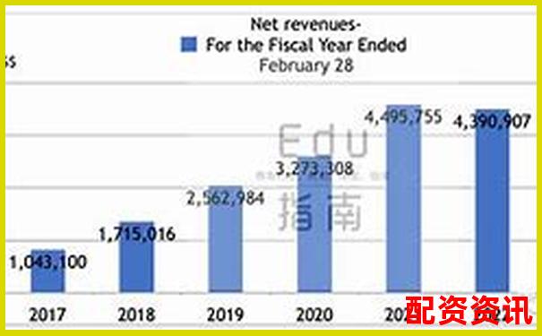 从财报看未来：哪些公司可能在2025年翻十倍？-股票放大量是什么意思