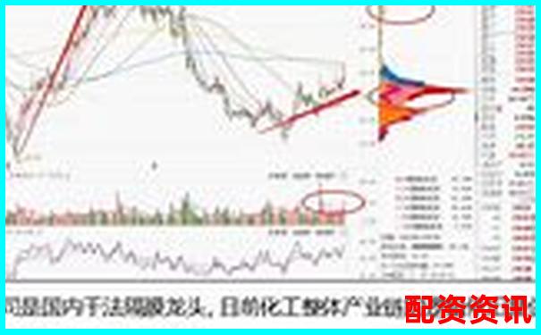 未来暴涨1000倍的股票适合定投吗？实测回报率-配资世家股票配资网址查询