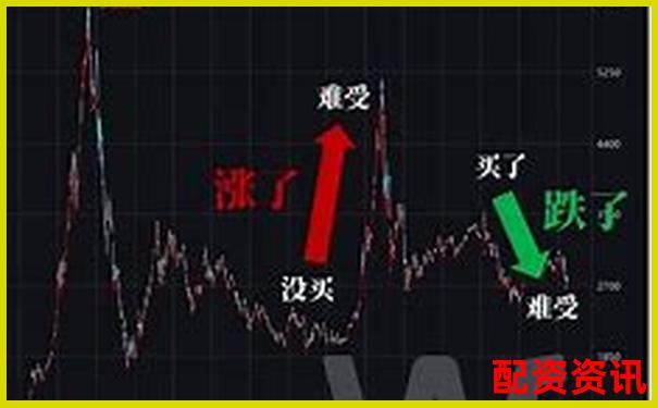 新手怎么买股票不容易亏？必须知道的五条铁律-股票配资门户平台有哪些软件