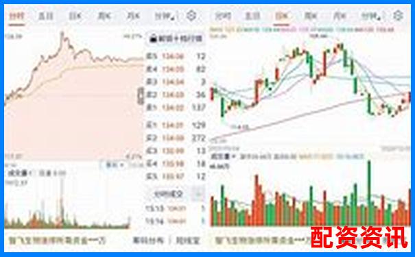 哪个正规平台支持量化炒股？附十大平台功能整理-股票一万可以加多少倍杠杆呢
