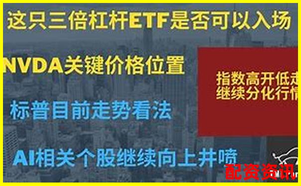 多倍杠杆平台安全性测评：如何选出最稳妥的那一家？-杠杆平衡条件的内容