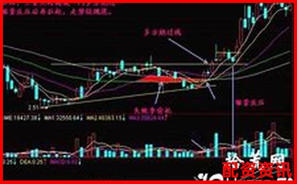 炒股杠杆平台突然跑路怎么办？新手处理建议-配资平台实盘哪家正规