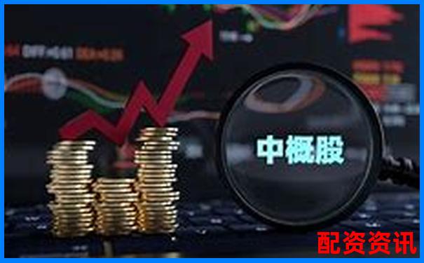 哪些中概股有望成为未来暴涨1000倍的代表？-杠杆原理制作小秤杆