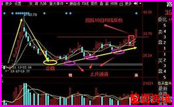 10倍杠杆炒股是否适合反包战法？数据分析来了-100倍杠杆多少平仓最好