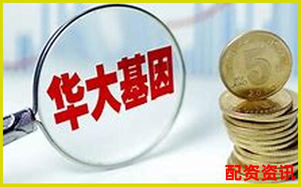 哪些小市值公司具备暴涨1000倍的基因？
