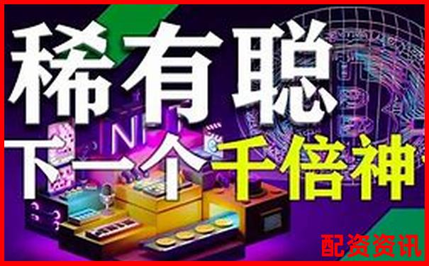 风险与奇迹共存：暴涨1000倍的神话能否复制？-有哪些正规股票的加杠杆平台