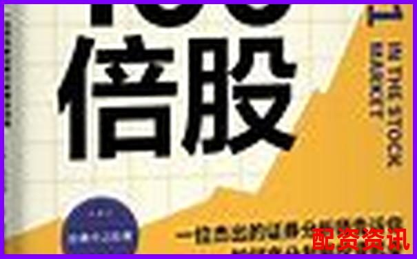 一文带你看懂未来暴涨1000倍的股票逻辑-美股杠杆是什么意思