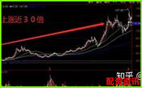 每一波牛市都有妖股，2025你抓到了吗？