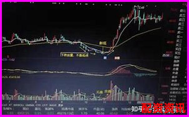 炒股杠杆平台突然跑路怎么办？新手处理建议-期货有哪些交易平台