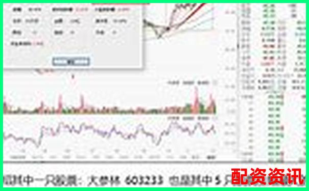 买入即暴富？关于未来暴涨1000倍的股票的6大迷思-炒股10倍杠杆能赚多少钱