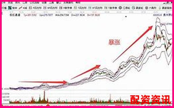 从历史数据看未来暴涨1000倍的股票有什么特征？-股票一般涨几倍会停牌
