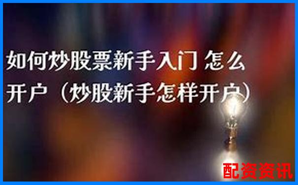 新手必读：开户炒股哪家平台支持快速风控保护？-炒股必须知道的几个网站