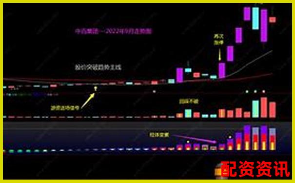 如何组建一支“未来暴涨1000倍股票池”？-融资配股是什么意思