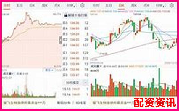 哪个炒股平台客服服务最好？十大平台大盘点-期货100倍杠杆都有哪些股票