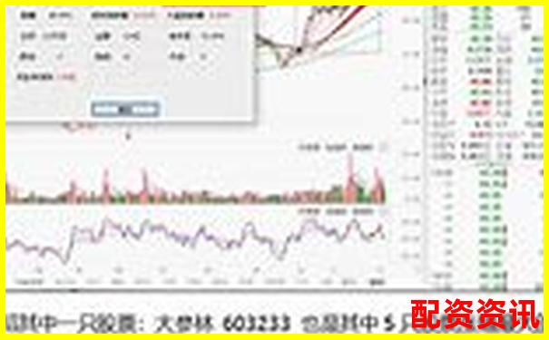 未来暴涨1000倍的股票适合定投吗？实测回报率-杠杆炒股软件易倍策略是什么